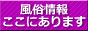 風俗情報ステーション 